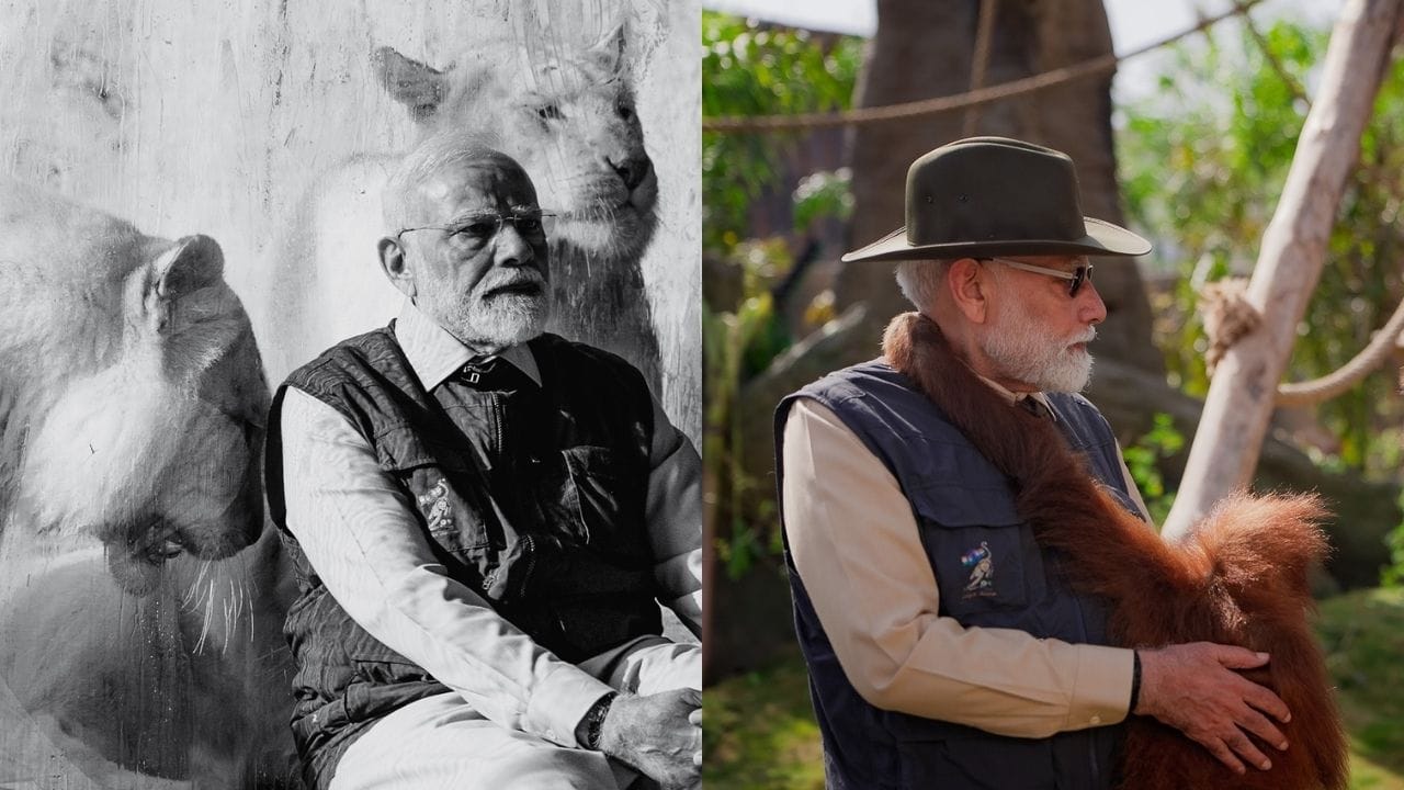 સંસ્થા દરરોજ 156,000 કિલોગ્રામ ઉચ્ચ ગુણવત્તાવાળું પોષણ ઉત્પાદન કરે છે, જે સંપૂર્ણ સ્વચાલિત સિસ્ટમ દ્વારા સંચાલિત થાય છે. 50 તાપમાન-નિયંત્રિત વાહનો મારફતે આ ખોરાક વિતરણ થાય છે અને 200થી વધુ લાયક વ્યાવસાયિકોની દેખરેખ હેઠળ સમગ્ર પ્રક્રિયા અમલમાં આવે છે. 1,000થી વધુ ખેડૂતો ઘાસચારો અને પશુ આહાર ઉત્પાદન સાથે જોડાયેલા છે. ઉપરાંત, 200 સભ્યોની 24x7 પ્રતિભાવ ટીમે 50થી વધુ આંતરરાષ્ટ્રીય બચાવ કામગીરી અને 15 વન્યજીવન કટોકટી પ્રતિભાવ અભિયાન સફળતાપૂર્વક પાર પાડ્યા છે.