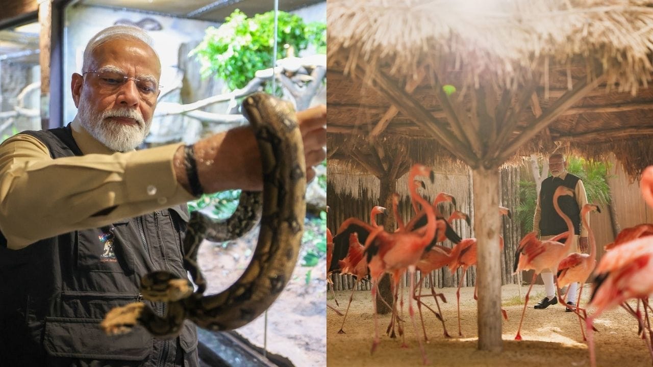 સંરક્ષણ ક્ષેત્રે, ગુજરાત વન વિભાગના સહયોગથી Barda Wildlife Sanctuary માં 53 સ્પોટેડ હરણ છોડવામાં આવ્યા, જે એક મહત્વપૂર્ણ સિદ્ધિ રહી. ઉપરાંત, ઇન્ડોનેશિયામાં સાપની ગળાવાળા કાચબાઓનું સ્થળાંતર પણ સફળતાપૂર્વક કરવામાં આવ્યું. આ પ્રયાસો વિજ્ઞાન આધારિત ઇકોસિસ્ટમ પુનઃસ્થાપન અને પ્રજાતિઓને નવી જીવન તક આપવા પ્રત્યેની સંસ્થાની પ્રતિબદ્ધતા દર્શાવે છે.