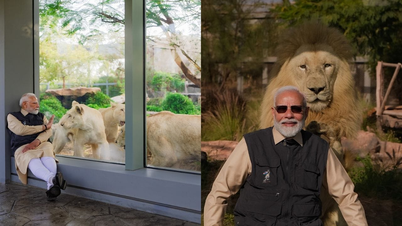 પંજાબમાં આવેલા વિનાશક પૂર દરમિયાન, Vantara એ માનવતાવાદી સહાય અને આપત્તિ રાહત કામગીરીમાં મહત્વપૂર્ણ ભૂમિકા ભજવી. હજારો પ્રાણીઓને બચાવવાની સાથે દસ લાખથી વધુ લોકોને સહાય પહોંચાડવામાં સંસ્થા સહભાગી બની. આ પ્રયાસોએ સ્પષ્ટ સંદેશ આપ્યો કે પર્યાવરણ અને માનવ સુખાકારી એકબીજાથી અવિભાજ્ય રીતે જોડાયેલા છે.ઉદ્ઘાટનના માત્ર એક વર્ષમાં, Vantara એક સંકલિત અને વિજ્ઞાન આધારિત વૈશ્વિક સંરક્ષણ મોડેલ તરીકે ઉભરી આવ્યું છે. બચાવ, સંશોધન, પુનર્વસન અને સમુદાય ભાગીદારીના માધ્યમથી, તે ભારત અને વિશ્વ માટે વધુ ટકાઉ અને કરુણાપૂર્ણ ભવિષ્ય નિર્માણ તરફ સતત આગળ વધી રહ્યું છે.