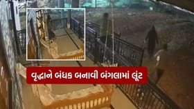 ઉમરગામમાં વૃદ્ધાને બંધક બનાવી હથિયારબંધ લૂંટ