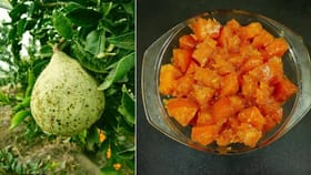 Bael Murabba Recipe: ઉનાળામાં બીલીનો મુરબ્બો પેટને આપે છે ઠંડક