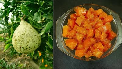 Bael Murabba Recipe: ઉનાળામાં બીલીનો મુરબ્બો પેટને ઠંડુ રાખે છે, ઘરે બનાવવાની રીત જાણો