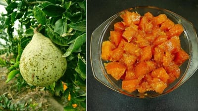 Bael Murabba Recipe: ઉનાળામાં બીલીનો મુરબ્બો પેટને ઠંડુ રાખે છે, ઘરે બનાવવાની રીત જાણો