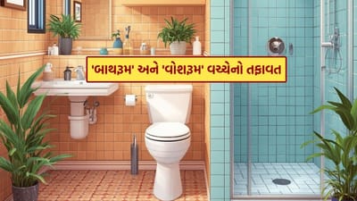 ઘણા લોકો “બાથરૂમ” અને “વોશરૂમ” શબ્દો વચ્ચેનો તફાવત સમજવામાં મૂંઝવણ અનુભવે છે. ખાસ કરીને જ્યારે આપણે શોપિંગ મોલ, રેસ્ટોરન્ટ, જીમ અથવા હોટલમાં જઈએ છીએ ત્યારે બહાર લગાવેલા સાઇનબોર્ડ પર લખેલા આ શબ્દો આપણને વિચારવામાં મૂકી દે છે. સામાન્ય રીતે “WC”, “Bathroom” અને “Washroom” જેવા શબ્દો જોવા મળે છે. “WC” (Water Closet)નો અર્થ તો લોકો સહેલાઈથી સમજી જાય છે, પરંતુ “બાથરૂમ” અને “વોશરૂમ” વચ્ચેનો તફાવત ઘણા લોકોને સ્પષ્ટ નથી હોતો.
