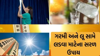 Summer Tips: વધતું તાપમાન અને લૂની લપેટ: સુરક્ષિત રહેવા માટે અપનાવો આ ઉપાયો