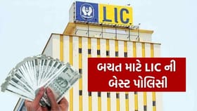 LIC ની બેસ્ટ પોલિસી, તમને સૌથી વધુ રિટર્ન ક્યાંથી મળી શકે છે?