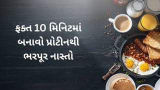 પ્રોટીનથી ભરપૂર નાસ્તા : ફક્ત 10 મિનિટમાં તૈયાર થતી 5 હેલ્ધી રેસીપી