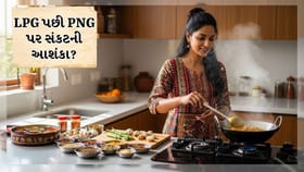 LPGની કમી પછી શું PNG સંકટ આવશે? તમારા રસોડામાં કેવી રીતે પહોંચે છે?