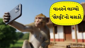 પાટણમાં વાનરને લાગ્યો સેલ્ફીનો ચસકો!