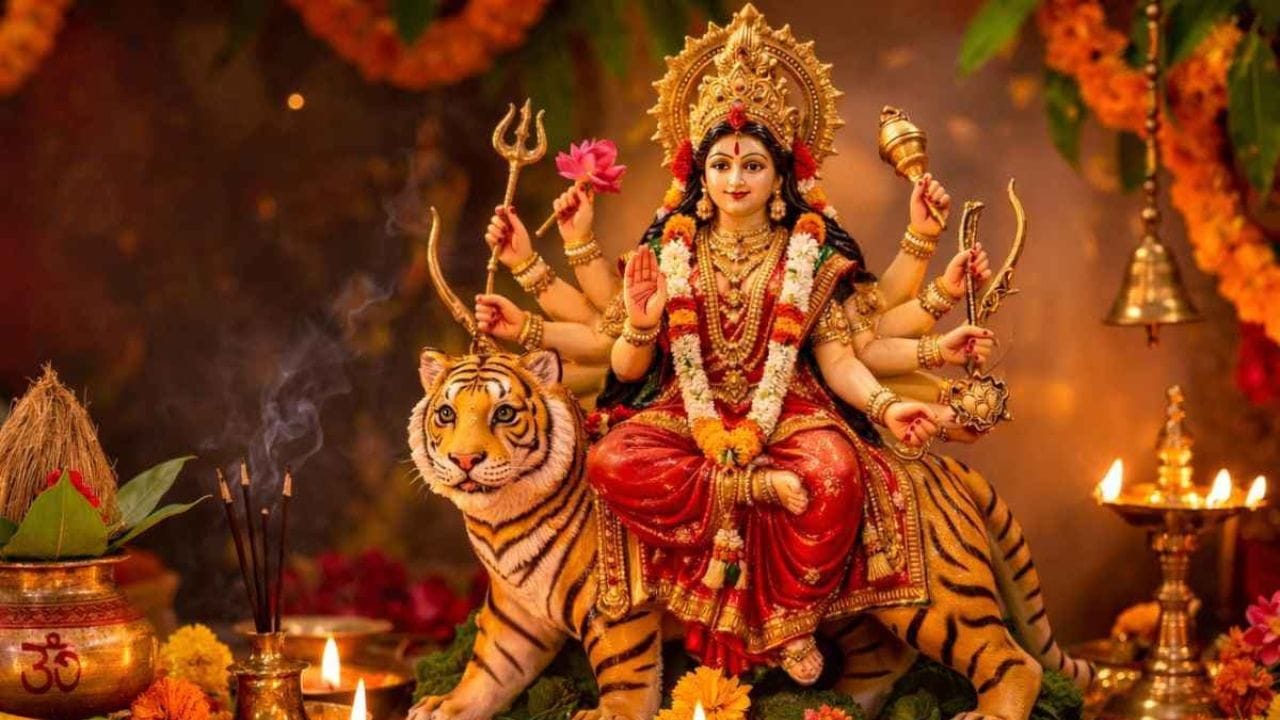 વ્રત દરમિયાન સામાન્ય ભોજનના બદલે હળવું અને સાત્વિક ખાવાનું મહત્વ વધારે હોય છે. આ પરિસ્થિતિમાં સાબુદાણા એક મહત્વપૂર્ણ ખાદ્ય પદાર્થ તરીકે ઉભર્યો છે. (Image Credit Source: AI)
