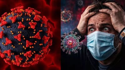 Breaking News :  23 દેશમાં ફેલાયો કોરોનાનો નવો વેરિયન્ટ, શું છે સિકાડા વાયરસ? ભારત પર તેની શું અસર પડશે? જાણો