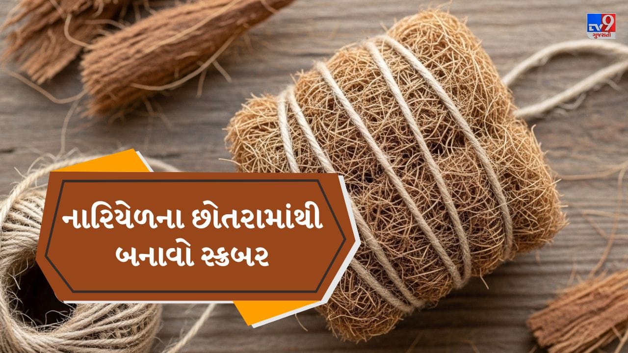 ઘણા લોકો નારિયેળ ખાધા પછી તેના રેસા ફેંકી દે છે, પરંતુ તે રસોડામાં વાસણ સાફ કરવા માટે ખૂબ ઉપયોગી બની શકે છે. નારિયેળના કુદરતી રેસા મજબૂત અને લાંબા સમય સુધી ચાલે છે, તેમજ તેમાં સ્વાભાવિક એન્ટીબેક્ટેરિયલ ગુણ હોય છે. જ્યારે પ્લાસ્ટિકના સ્ક્રબર જલ્દી બગડે છે અને જંતુઓ એકઠા કરે છે, ત્યારે નારિયેળના રેસાથી બનાવેલો DIY સ્ક્રબર સસ્તો, સુરક્ષિત અને પર્યાવરણ માટે વધુ સારું વિકલ્પ છે. ( Credits: AI Generated )