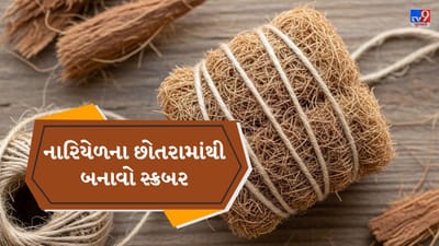 ઘણા લોકો નારિયેળ ખાધા પછી તેના રેસા ફેંકી દે છે, પરંતુ તે રસોડામાં વાસણ સાફ કરવા માટે ખૂબ ઉપયોગી બની શકે છે. નારિયેળના કુદરતી રેસા મજબૂત અને લાંબા સમય સુધી ચાલે છે, તેમજ તેમાં સ્વાભાવિક એન્ટીબેક્ટેરિયલ ગુણ હોય છે. જ્યારે પ્લાસ્ટિકના સ્ક્રબર જલ્દી બગડે છે અને જંતુઓ એકઠા કરે છે, ત્યારે નારિયેળના રેસાથી બનાવેલો DIY સ્ક્રબર સસ્તો, સુરક્ષિત અને પર્યાવરણ માટે વધુ સારું વિકલ્પ છે. ( Credits: AI Generated )