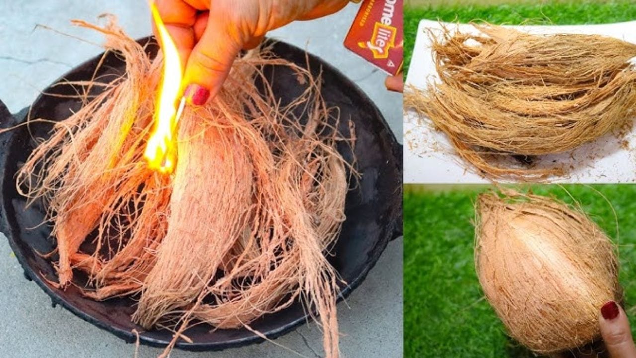 ચૂલો સળગાવવા માટે: ગામડાઓમાં આજે પણ નારિયેળના છાલને હજુ પણ પરંપરાગત ચૂલા પ્રગટાવવા માટે શ્રેષ્ઠ સામગ્રી માનવામાં આવે છે. તે ખૂબ જ ઝડપથી આગ પકડે છે, તેમજ તેથી તેમાંથી નિકળતો ધુમાડો પર્યાવરણ માટે પણ ફાયદા કારક છે. તે કોલસા અથવા પ્લાસ્ટિકના કચરાની જેમ આંખો અને સ્વાસ્થ્ય માટે ઘણો હાનિકારક નથી. (ફોટો ક્રેડિટ-સોશિયલ મીડિયા)