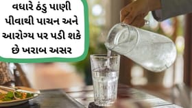 ઉનાળામાં ઠંડુ પાણી: રાહત કે આરોગ્ય માટે જોખમ?