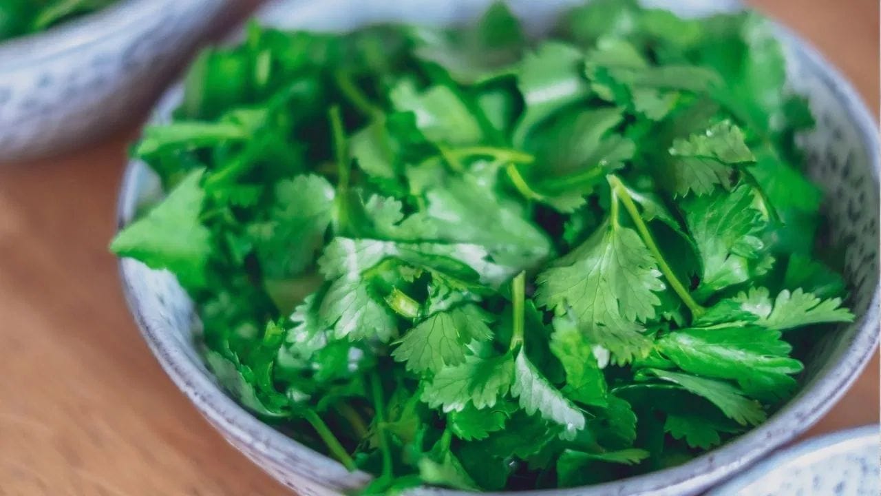 દરેક વ્યક્તિ સાફ અને ચમકતી ત્વચા ઈચ્છે છે. શરીરમાં એસિડિટીનું પ્રમાણ વધવાને કારણે ત્વચા પર લાલાશ, ફોલ્લીઓ અને પિમ્પલ્સ જેવી સમસ્યાઓ થઈ શકે છે. એવામાં કોથમીર એસિડિટી ઘટાડવામાં મદદ કરે છે, જેનાથી ત્વચાને લગતી સમસ્યાઓમાં રાહત મળી શકે છે.