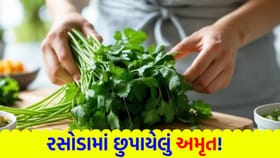 ડાયાબિટીસ અને હાઈ BP ને કંટ્રોલ કરવામાં 'કોથમીર' કેવી રીતે મદદ કરે છે?