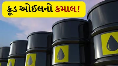 Crude Oil Products: ક્રૂડ ઓઈલમાંથી કઈ કઈ વસ્તુઓ બનાવવામાં આવે છે, જાણો તેનો સીધો ઉપયોગ કેમ ન કરી શકાય?