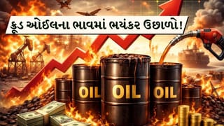 US-Israel strike on Iran Breaking : ક્રૂડ ઓઈલના ભાવમાં ભયંકર ઉછાળો! US-Iran સંઘર્ષથી દરિયાઈ માર્ગો બંધ થયા, પેટ્રોલ અને ડીઝલના ભાવ વધવાની શક્યતા