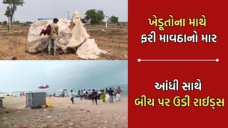 દ્વારકામાં અચાનક તેજ પવન ફુંકાતા બીચ પર ઉડવા લાગી રાઈડ્સ તો ધરતીપુત્રોમાં ઘેરાયા ચિંતાના વાદળો, તૈયાર પાકને બચાવવા મુકી દોટ- Video