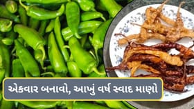 તડકામાં સુકાવેલા દહીંવાળા લીલા મરચા, લાંબા સમય સુધી સાચવવાની સરળ રીત