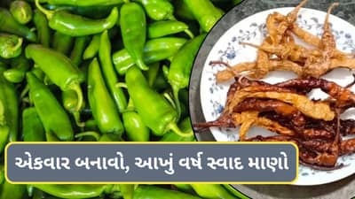 Food Tips: તડકામાં સુકાવેલા દહીંવાળા લીલા મરચા, એક વાર બનાવો અને વર્ષભર ખાઓ