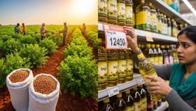 સિંગતેલના ભાવ ભડકે બળ્યા, 3000ને પાર થયો ડબ્બો