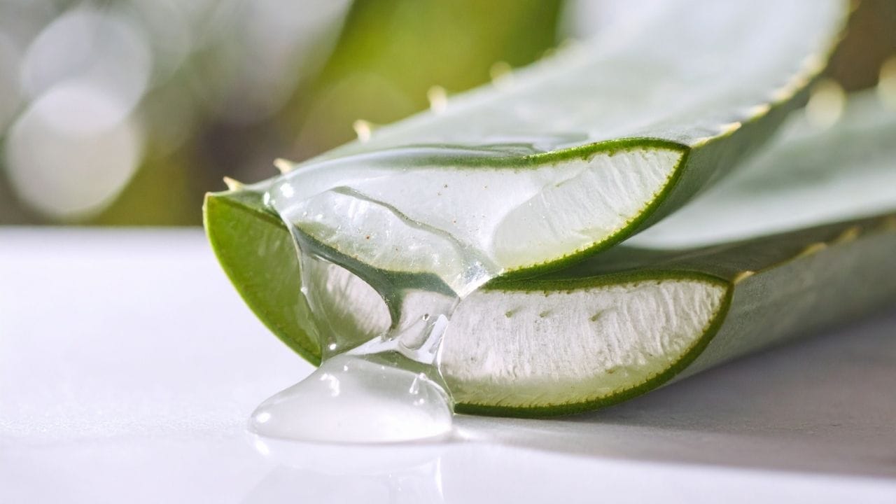 જો રંગ દૂર કર્યા પછી તમારી ત્વચા લાલ થઈ જાય, તો એલોવેરા જેલ લગાવવાથી તાત્કાલિક રાહત મળી શકે છે અને ફોલ્લીઓ ઓછી થઈ શકે છે. તે ત્વચાને ઠંડુ અને ભેજયુક્ત બનાવે છે, અને તેની શાંત અસર ત્વચાને આરામ આપે છે.