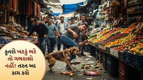 કૂતરો બટકું ભરે તો ગભરાશો નહીં! તરત કરો આ 5 સ્ટેપ ફોલો કરો