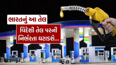 ઈરાન અને ઈઝરાયલ વચ્ચે ચાલી રહેલા તણાવ સમાપ્ત થવાના કોઈ સ્પષ્ટ સંકેતો દેખાતા નથી અને આ સંઘર્ષ હજુ થોડો સમય ચાલુ રહેવાની શક્યતા છે. આ પરિસ્થિતિ વચ્ચે ભારતનું E20 પેટ્રોલ ફરી એકવાર ચર્ચામાં આવ્યું છે.