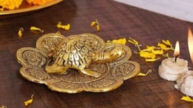 ઘરમાં કાચબો રાખવાનો સાચો નિયમ, ફેંગશુઈ મુજબ સાચી દિશા અને રીત જાણો