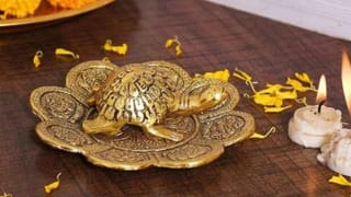 Feng Shui Turtle Tips:  ઘરમાં ધાતુનો કાચબો કેવી રીતે અને કઈ દિશામાં સ્થાપિત કરવો જોઈએ? જાણો તેના નિયમો