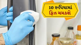 Fridge Cleaning Tips: ચીકણું રબર મિનિટોમાં સાફ કરો આ ઘરેલું રીતથી