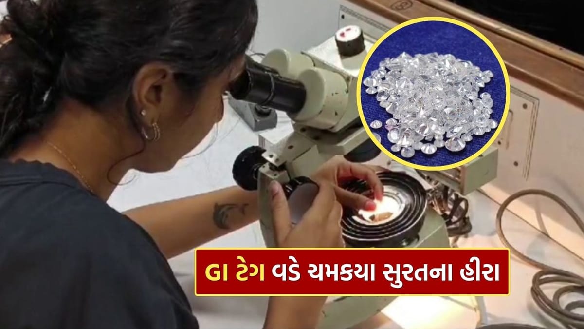 સુરત કટ ડાયમંડને GI ટેગ મળ્યો, હીરા ઉદ્યોગને વૈશ્વિક ઓળખ અને આર્થિક વેગ, જુઓ Video