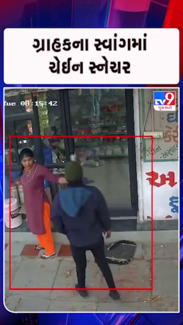 ગ્રાહકના સ્વાંગમાં આવ્યો ચોર