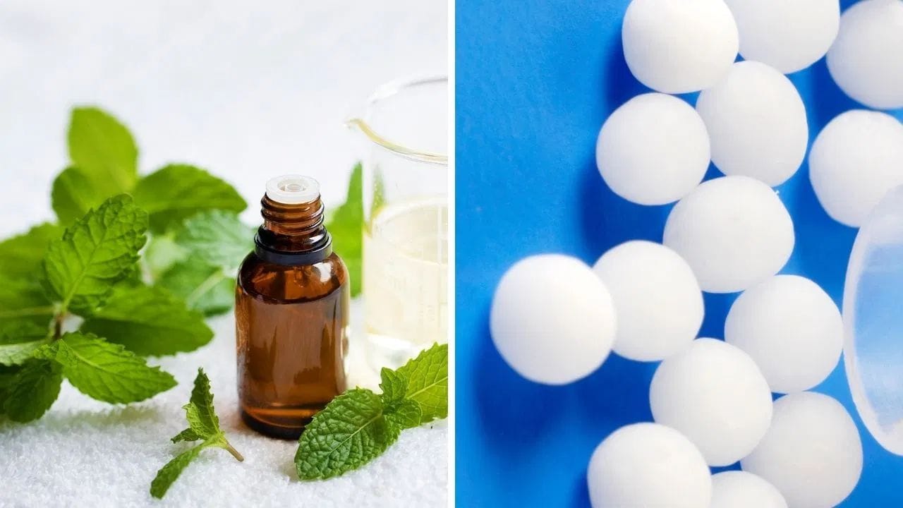 કપૂર પણ એક સસ્તું અને સરળ ઉપાય છે. તેની ગંધ ઉંદરોને દૂર રાખે છે પરંતુ માણસો માટે અસહ્ય નથી. કપૂરનો ભૂકો કરીને ખૂણાઓમાં, પલંગ નીચે અથવા જ્યાં ઉંદરો આવવાની શક્યતા હોય ત્યાં છાંટવાથી અસરકારક પરિણામ મળે છે. કપૂરનું સ્પ્રે પણ ઉપયોગી બની શકે છે.