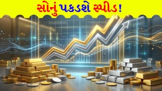 ગોલ્ડ-સિલ્વર રેશિયોમાં ઉલટફેર ! Tata ના રિપોર્ટમાં થયો ‘મોટો ખુલાસો’, આ 5 ફેક્ટર્સ સોનાને પહોંચાડશે ‘આસમાને’