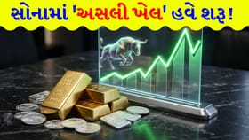 સોનું ₹3 લાખના આરે? તેજીના આસમાનમાં છુપાયેલો છે 'ઘટાડાનો ખતરો'