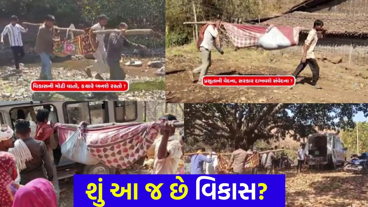 શું આને જ કહીશું વિકાસ? કરોડોની હોસ્પિટલ માત્ર શોભાના ગાંઠિયા જેવી, પ્રસૂતાઓને આજે પણ ‘ઝોળી’નો સહારો – જુઓ Video