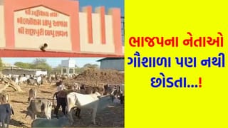 Breaking News: ભાજપ નેતાની ‘ગૌ-ભક્તિ’ ઉઘાડી પડી… ગૌશાળાના કરોડોના વહીવટમાં ગોટાળાનો પર્દાફાશ – જુઓ Video