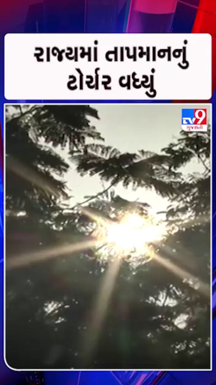 હવામાન વિભાગે 3 દિવસ માટે જાહેર કર્યું યલો એલર્ટ