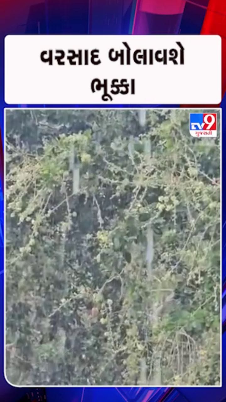 ભારે પવન અને વરસાદની શક્યતા