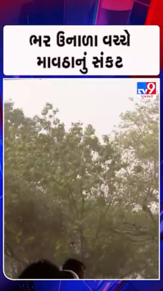 18 અને 19 માર્ચએ માવઠાની આગાહી