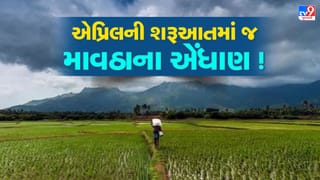 Breaking News : એપ્રિલની શરૂઆતમાં જ રાજ્યમાં માવઠાના એંધાણ, આંધી અને ગાજવીજ સાથે વરસાદની હવામાન વિભાગની આગાહી