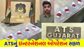 થાઈલેન્ડ-મલેશિયા મોકલાતું નશીલી દવાઓનું ષડયંત્ર ખુલ્લું પડ્યું