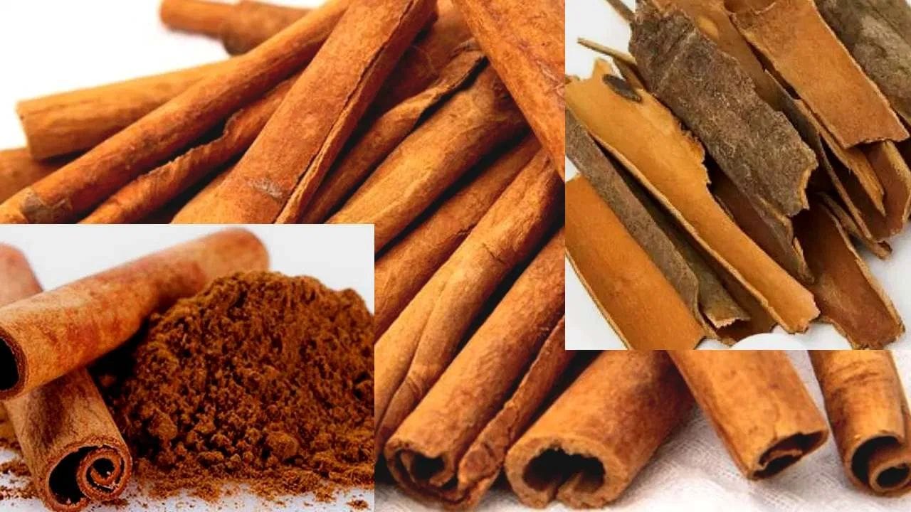 જણાવી દઈએ કે, બ્લડ સુગર લેવલને કંટ્રોલ કરવા માટે તજને ડાયટ પ્લાનમાં ઉમેરી શકાય છે. વધુ સારા પરિણામો મેળવવા માટે સવારે ખાલી પેટે તજના ઉકાળાનું સેવન કરી શકાય છે. જો કે, તમારે તજનો ઉપયોગ ઓછી માત્રામાં જ કરવો જોઈએ અને આ મસાલાનું સેવન કરતા પહેલા એકવાર ડોક્ટરની સલાહ જરૂર લેવી જોઈએ.