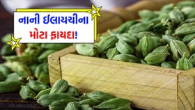 ખાલી પેટે ઈલાયચી ખાવાના ફાયદા શું? દિવસમાં કેટલી ખાવી સુરક્ષિત છે?