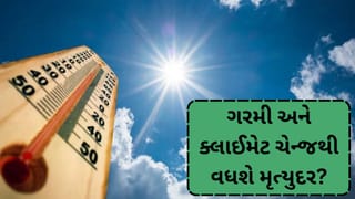 વધતી ગરમીનો ખતરો : આરોગ્ય પર ગંભીર અસરના સંકેત