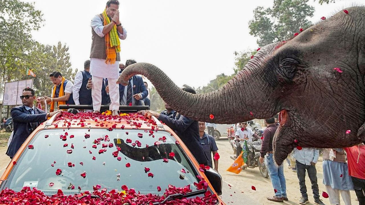 23 એપ્રિલ 2017ના રોજ બિસ્વા સર્વાનુમતે બેડમિન્ટન એસોસિએશન ઓફ ઈન્ડિયાના પ્રમુખ તરીકે ચૂંટવામાં આવ્યા હતા. આસામ બેડમિન્ટન એસોસિએશનના પ્રમુખ રહી ચૂક્યા છે. 