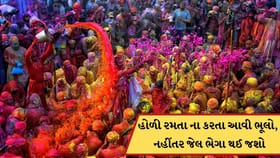 હોળીમાં રંગોથી રમતા ના કરતા આવી ભૂલો, નહીંતર જેલ જવું પડી શકે છે !